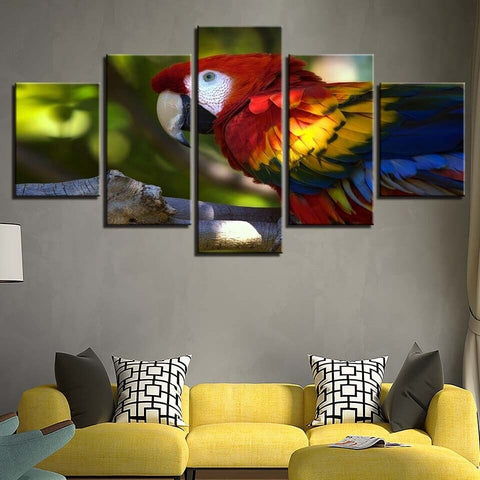Colorful Parrot Animals Wall Art Canvas Printing Decor