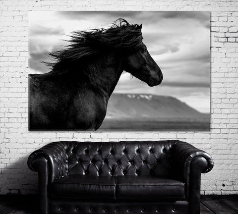 Black Wild Horse Wall Art Decor Canvas Printing-1Panel