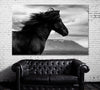 Image of Black Wild Horse Wall Art Decor Canvas Printing-1Panel