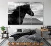 Image of Black Wild Horse Wall Art Canvas Printing Decor-3Panels