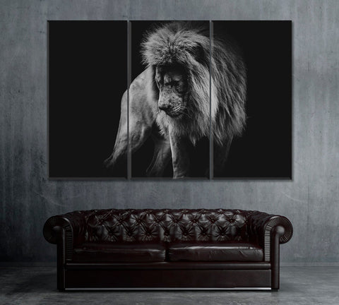 Black and White Lion Portrait Wall Art Canvas Printing Decor-3Panel