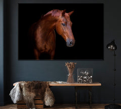 Brown Horse Portrait Wall Art Decor Canvas Printing-1Panel