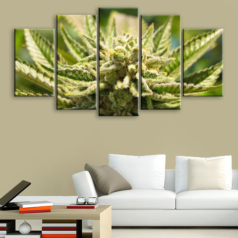 Cannabis Bud Plant Wall Art Canvas Printing Decor