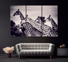 Image of Giraffes in Black And White Fine Art Wall Art Canvas Printing Decor-3Panels