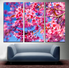 Pink Cherry Blossom Wall Art Canvas Printing Decor