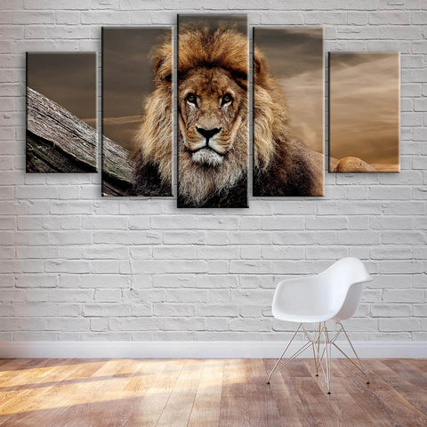 Resting Lion Wall Art Canvas Printing Decor