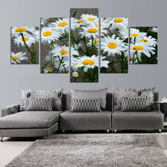 White Daisy Flowers Blooming Wall Art Canvas Printing Decor