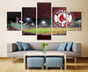 Image of Boston Red Sox Stadium Wall Art Decor Canvas Printing